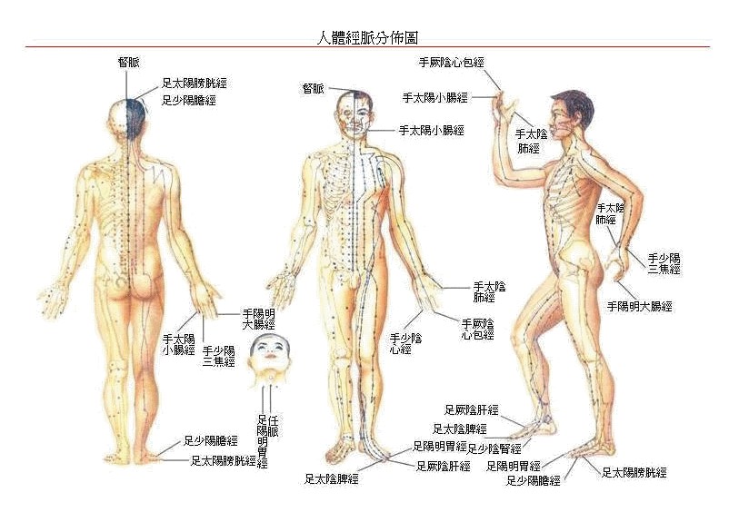 人体经脉分布图